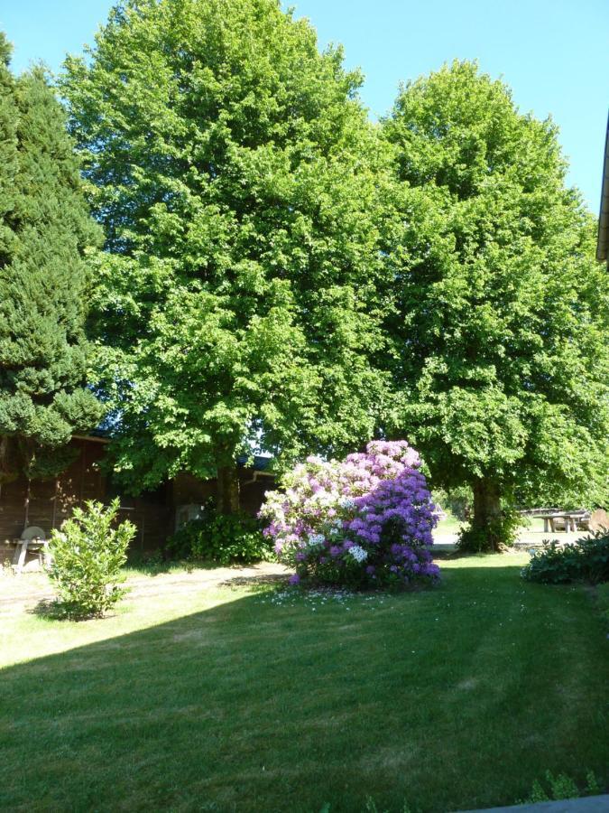 'Chez Lulu' - Gite Cocon Avec Bain Nordique Ardenne Nassogne Zewnętrze zdjęcie